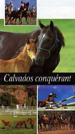 Calvados conqu&eacute;rant